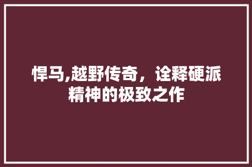 悍马,越野传奇，诠释硬派精神的极致之作