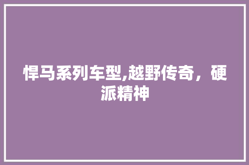 悍马系列车型,越野传奇，硬派精神