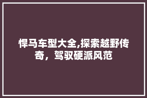 悍马车型大全,探索越野传奇，驾驭硬派风范