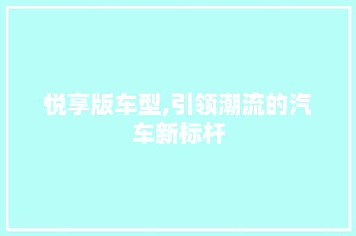 悦享版车型,引领潮流的汽车新标杆