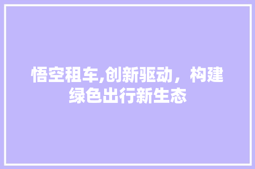 悟空租车,创新驱动，构建绿色出行新生态 车灯配件