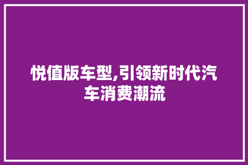 悦值版车型,引领新时代汽车消费潮流