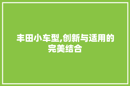 丰田小车型,创新与适用的完美结合