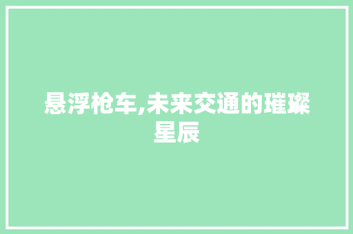 悬浮枪车,未来交通的璀璨星辰