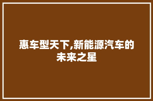 惠车型天下,新能源汽车的未来之星