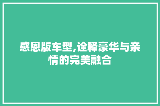 感恩版车型,诠释豪华与亲情的完美融合 汽车配件