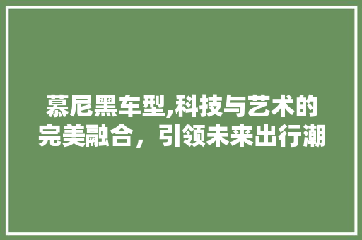 慕尼黑车型,科技与艺术的完美融合，引领未来出行潮流