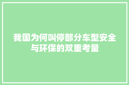 我国为何叫停部分车型安全与环保的双重考量 汽车配件