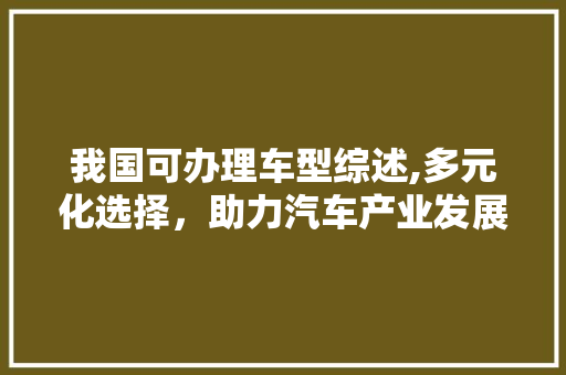 我国可办理车型综述,多元化选择，助力汽车产业发展