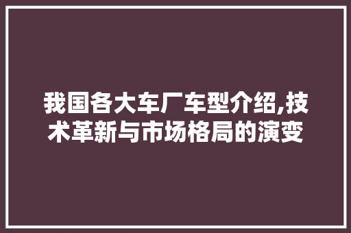 我国各大车厂车型介绍,技术革新与市场格局的演变 车身配件