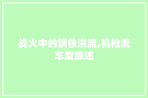 战火中的钢铁洪流,机枪流车型综述