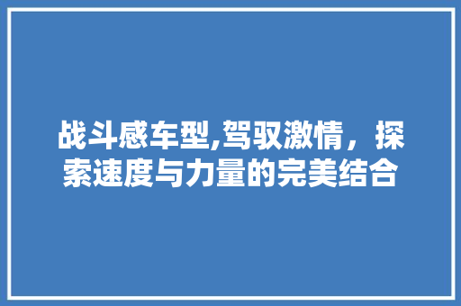 战斗感车型,驾驭激情，探索速度与力量的完美结合
