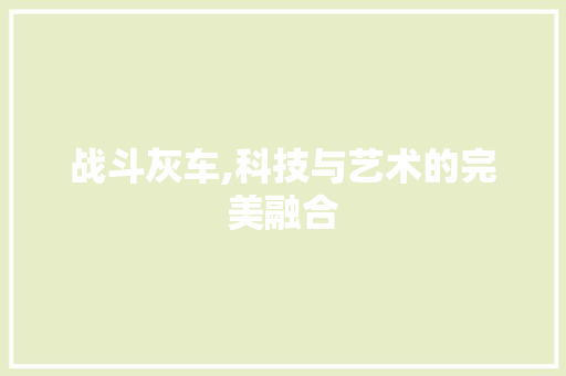 战斗灰车,科技与艺术的完美融合 新款车型