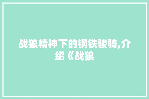 战狼精神下的钢铁骏骑,介绍《战狼
