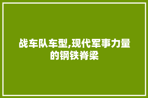 战车队车型,现代军事力量的钢铁脊梁