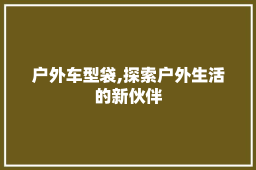 户外车型袋,探索户外生活的新伙伴
