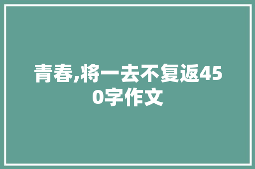 房车型大全,探索汽车世界的多样化选择