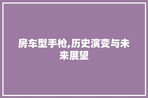 房车型手枪,历史演变与未来展望