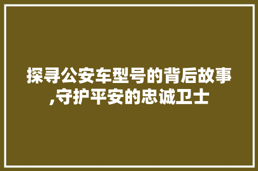 探寻公安车型号的背后故事,守护平安的忠诚卫士