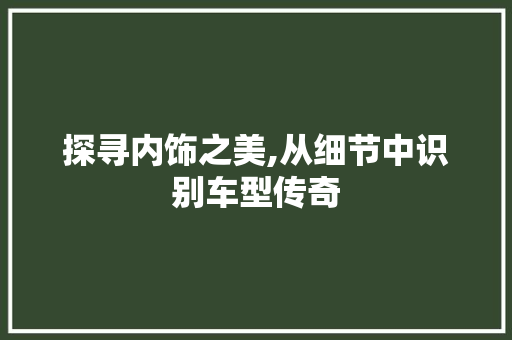 探寻内饰之美,从细节中识别车型传奇