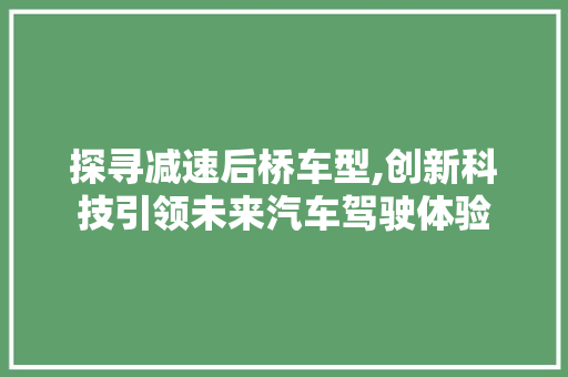 探寻减速后桥车型,创新科技引领未来汽车驾驶体验
