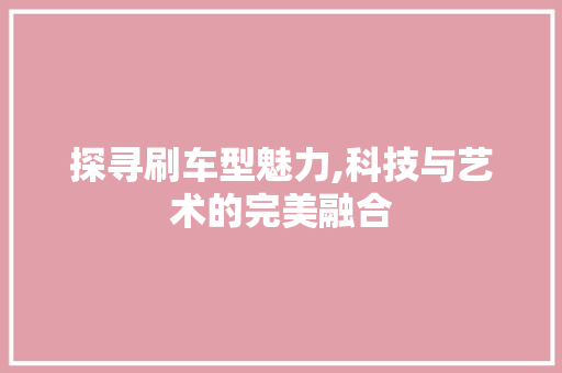 探寻刷车型魅力,科技与艺术的完美融合