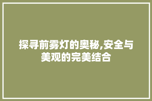 探寻前雾灯的奥秘,安全与美观的完美结合