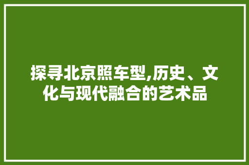 探寻北京照车型,历史、文化与现代融合的艺术品 汽车配件