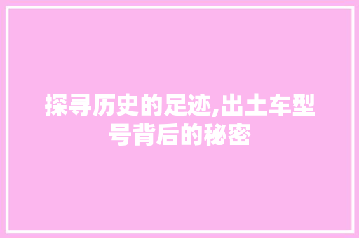 探寻历史的足迹,出土车型号背后的秘密
