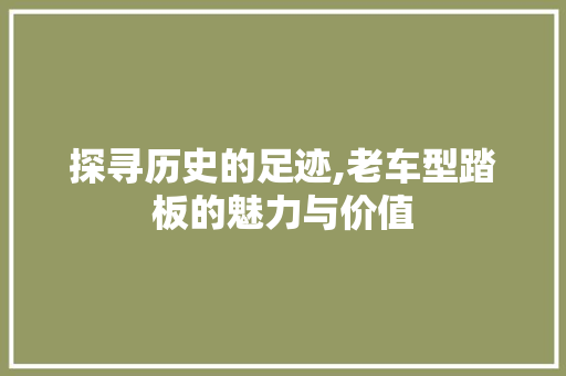 探寻历史的足迹,老车型踏板的魅力与价值