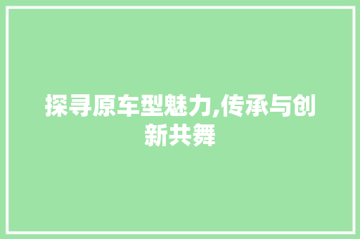 探寻原车型魅力,传承与创新共舞
