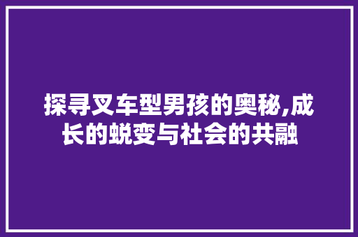 探寻叉车型男孩的奥秘,成长的蜕变与社会的共融