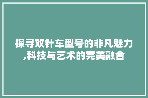 探寻双针车型号的非凡魅力,科技与艺术的完美融合
