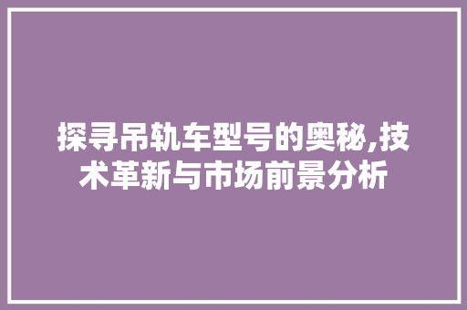 探寻吊轨车型号的奥秘,技术革新与市场前景分析