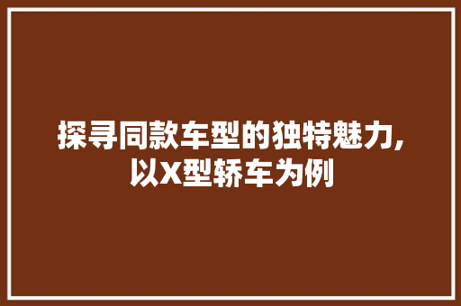 探寻同款车型的独特魅力,以X型轿车为例