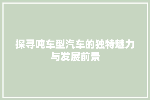 探寻吨车型汽车的独特魅力与发展前景
