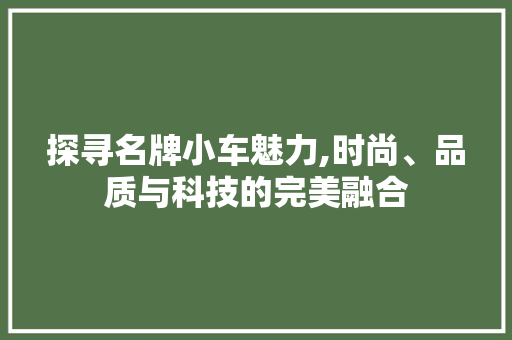 探寻名牌小车魅力,时尚、品质与科技的完美融合