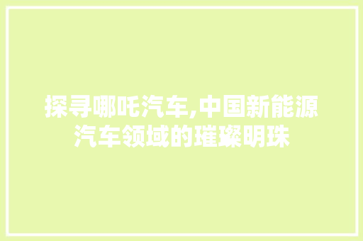 探寻哪吒汽车,中国新能源汽车领域的璀璨明珠