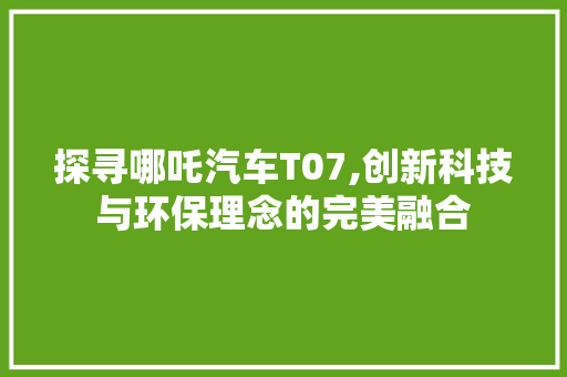 探寻哪吒汽车T07,创新科技与环保理念的完美融合 车身配件