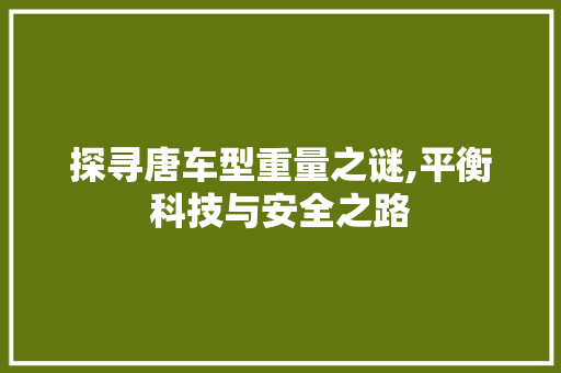 探寻唐车型重量之谜,平衡科技与安全之路