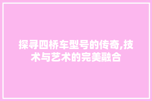 探寻四桥车型号的传奇,技术与艺术的完美融合