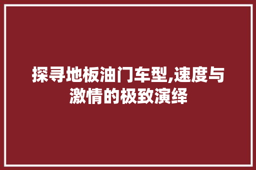 探寻地板油门车型,速度与激情的极致演绎