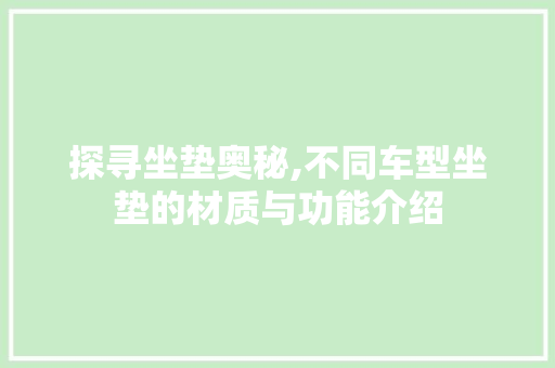 探寻坐垫奥秘,不同车型坐垫的材质与功能介绍