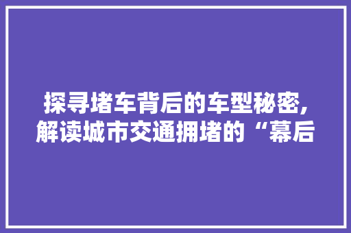 探寻堵车背后的车型秘密,解读城市交通拥堵的“幕后黑手”