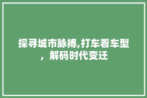 探寻城市脉搏,打车看车型，解码时代变迁