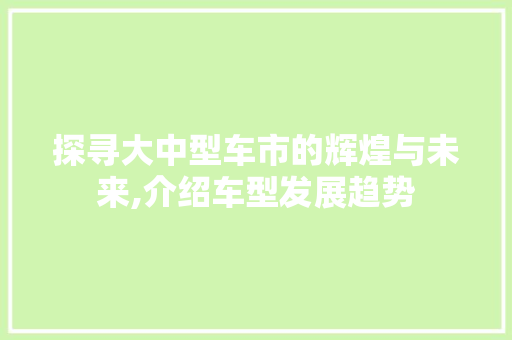 探寻大中型车市的辉煌与未来,介绍车型发展趋势
