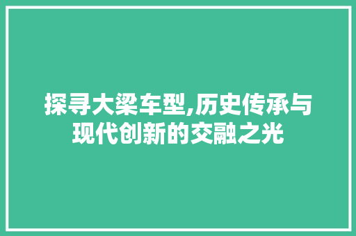 探寻大梁车型,历史传承与现代创新的交融之光 新能源汽车