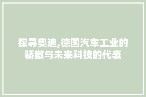 探寻奥迪,德国汽车工业的骄傲与未来科技的代表