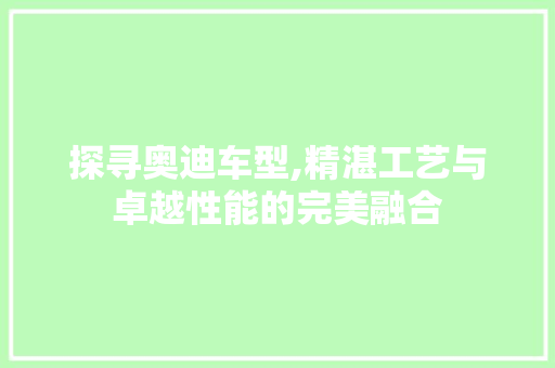 探寻奥迪车型,精湛工艺与卓越性能的完美融合