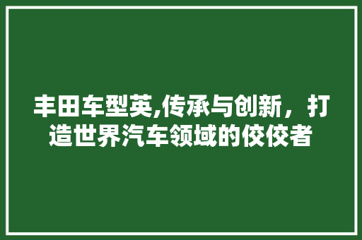 丰田车型英,传承与创新，打造世界汽车领域的佼佼者